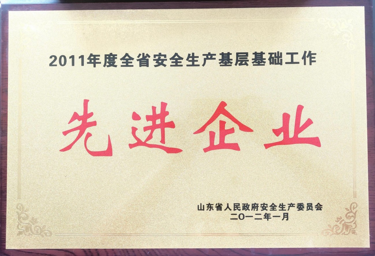 2011年度先进企业