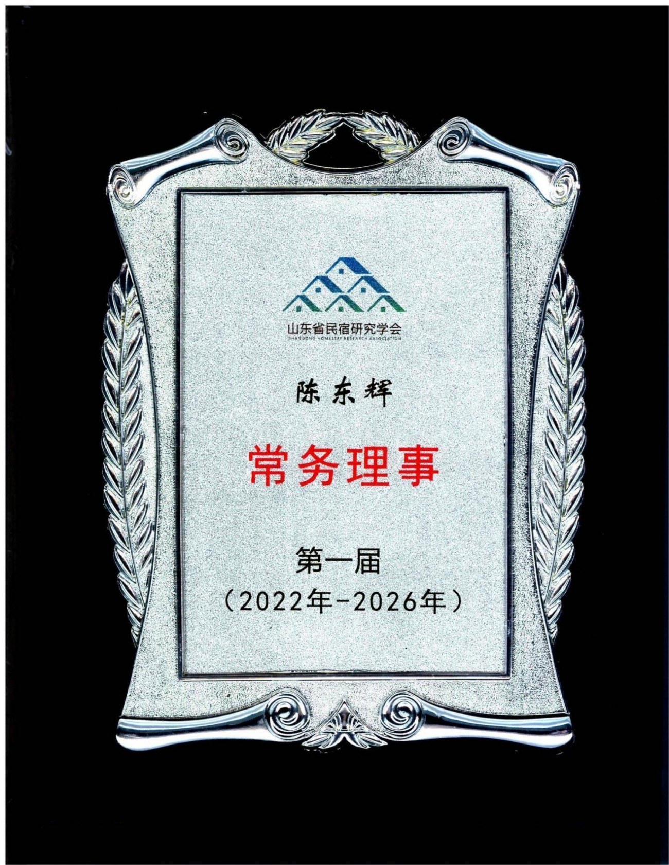 山东省民宿研究学会常务理事陈东辉01